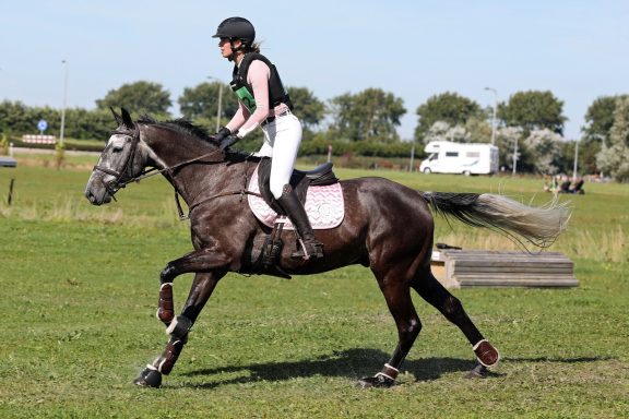 Tech Stirrups Venice Plus EVO veiligheidsbeugels Black/Pink met Swarovski kristallen