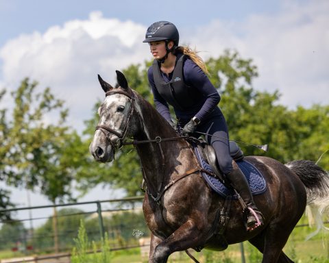 Tech Stirrups Venice Plus EVO veiligheidsbeugels Black/Pink met Swarovski kristallen
